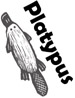 Platypus web logo 75W
